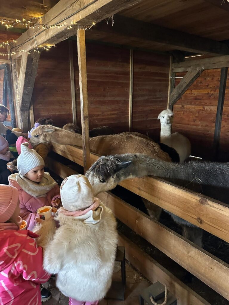 WhatsApp-Image-2026-01-09-at-09.42.21-1-1-768x1024