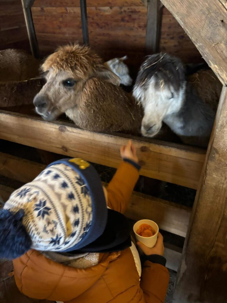 WhatsApp-Image-2026-01-09-at-09.42.21-3-1-768x1024