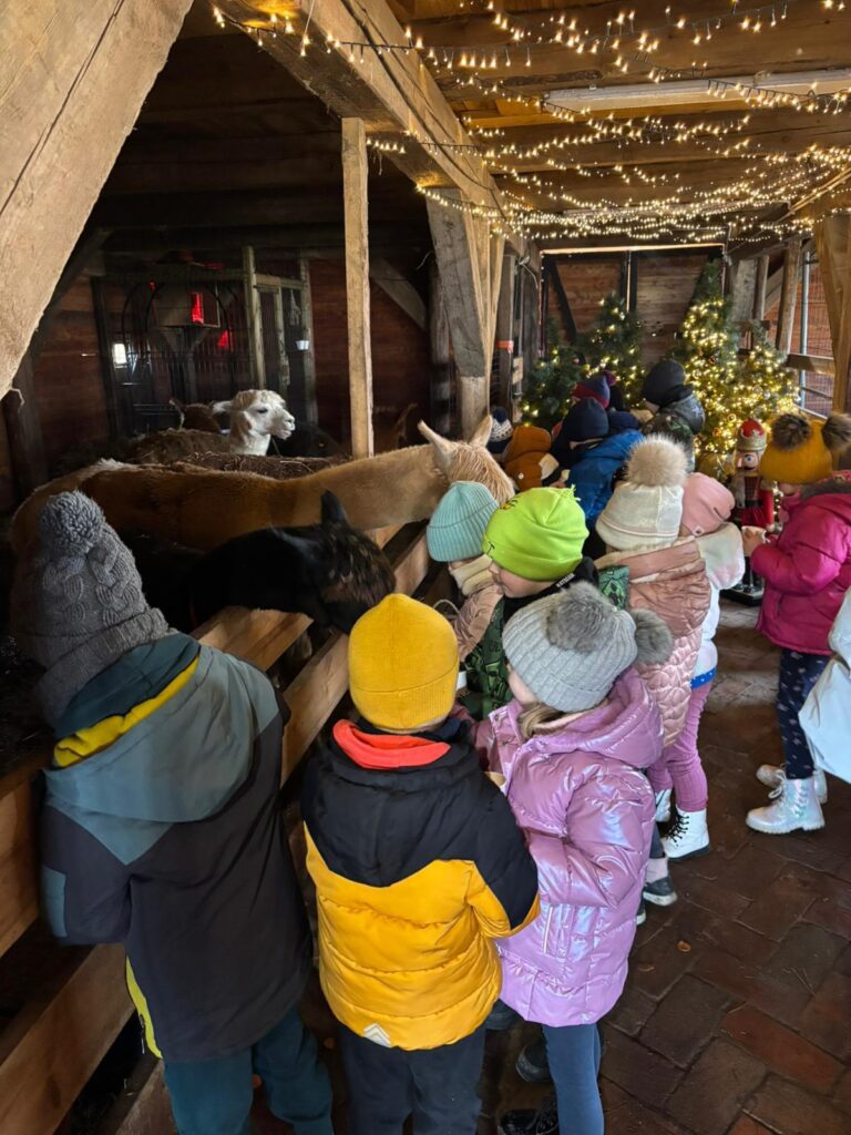 WhatsApp-Image-2026-01-09-at-09.42.21-5-1-768x1024