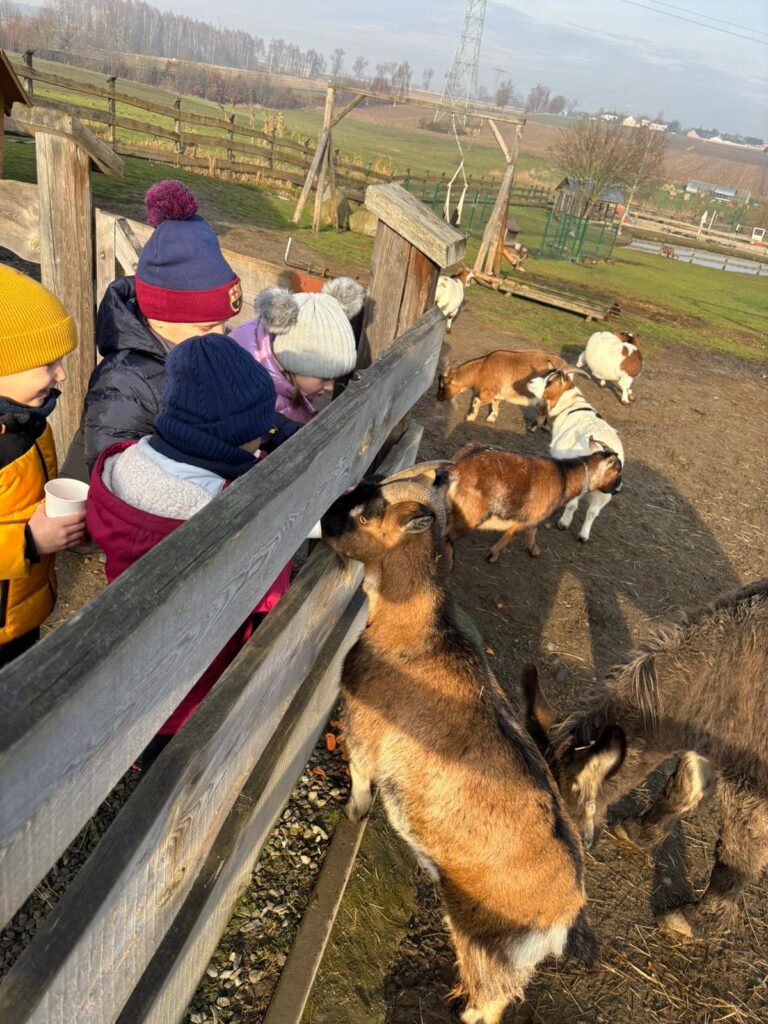 WhatsApp-Image-2026-01-09-at-09.42.21-6-768x1024