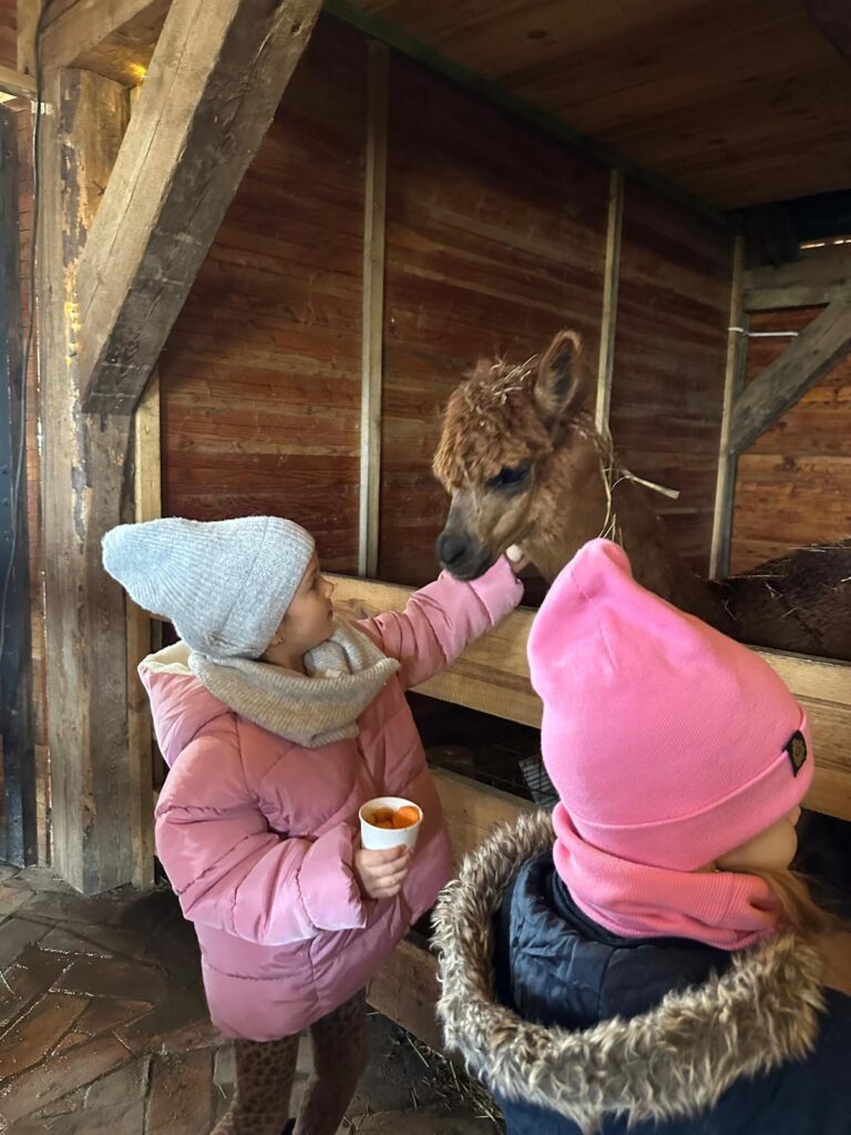 WhatsApp-Image-2026-01-09-at-09.42.21-768x1024